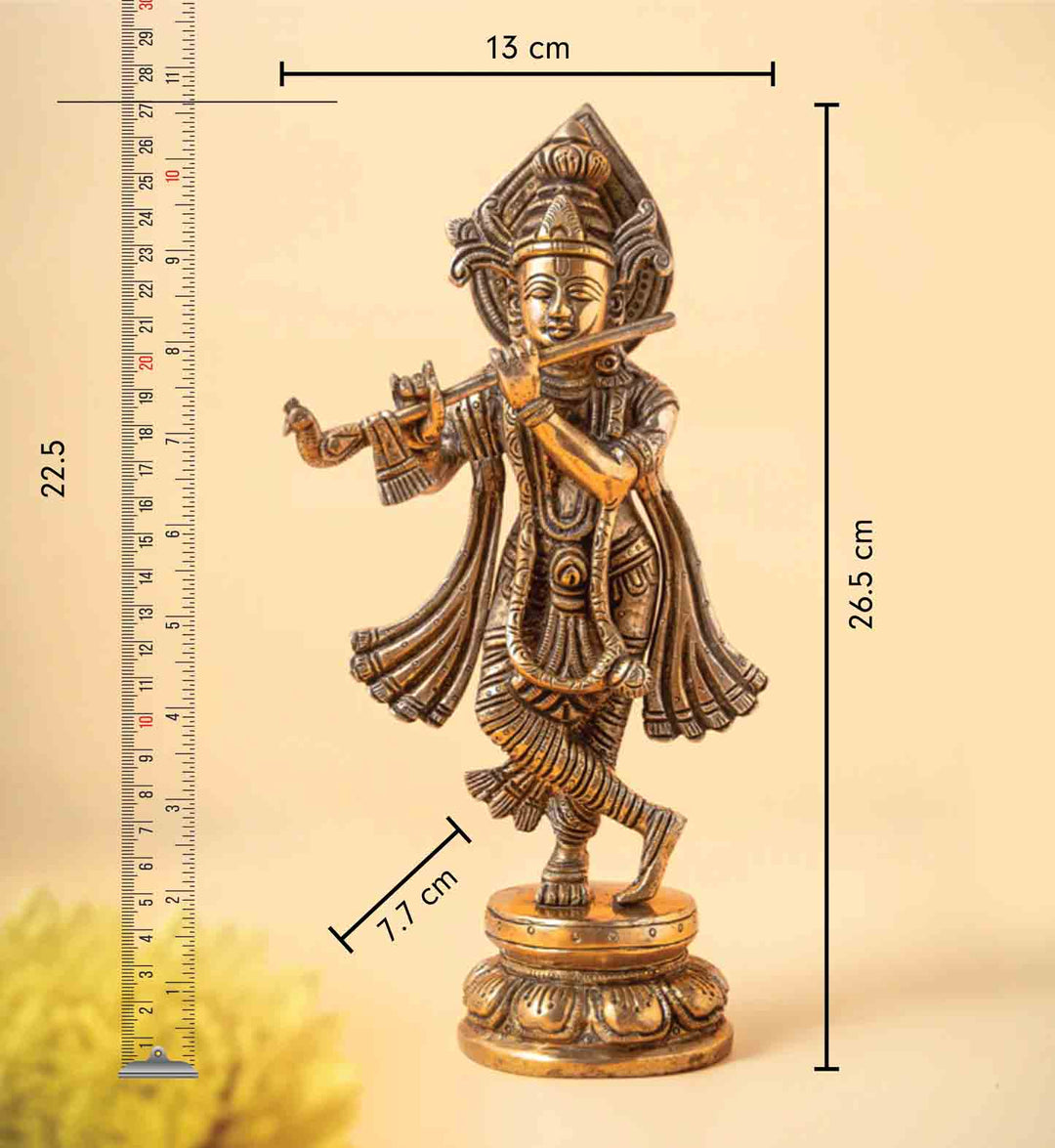 Murali Krishna Brass Idol