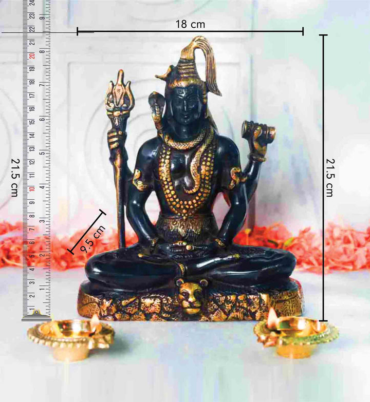 Shantha Shiva Idol