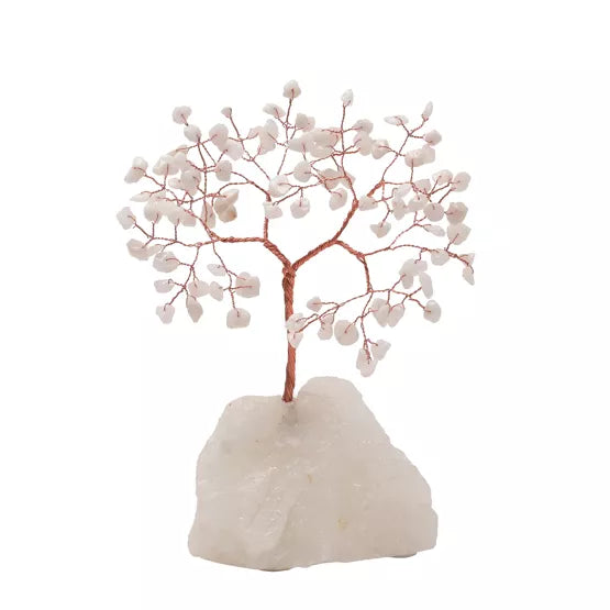White Jade Tree